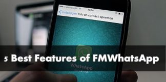 features of fmwhatsapp 2019