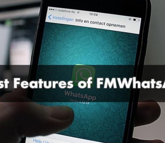 features of fmwhatsapp 2019