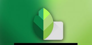 Snapseed For PC 2020