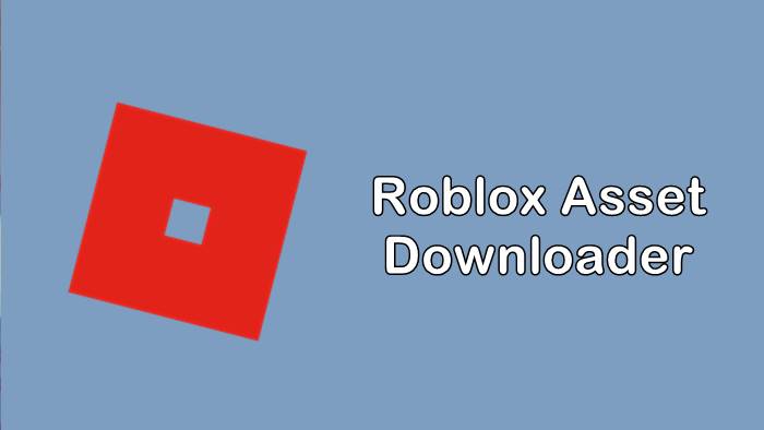 roblox asset downloader