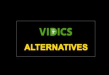 Best Vidics Alternatives