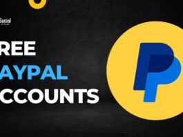 Free paypal accounts with money
