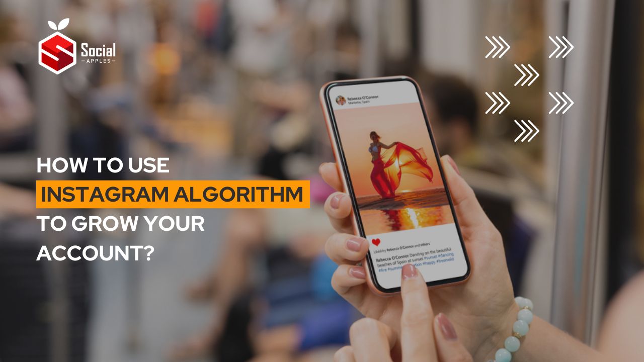 How to Use Instagram Algorithm to Grow Your Account