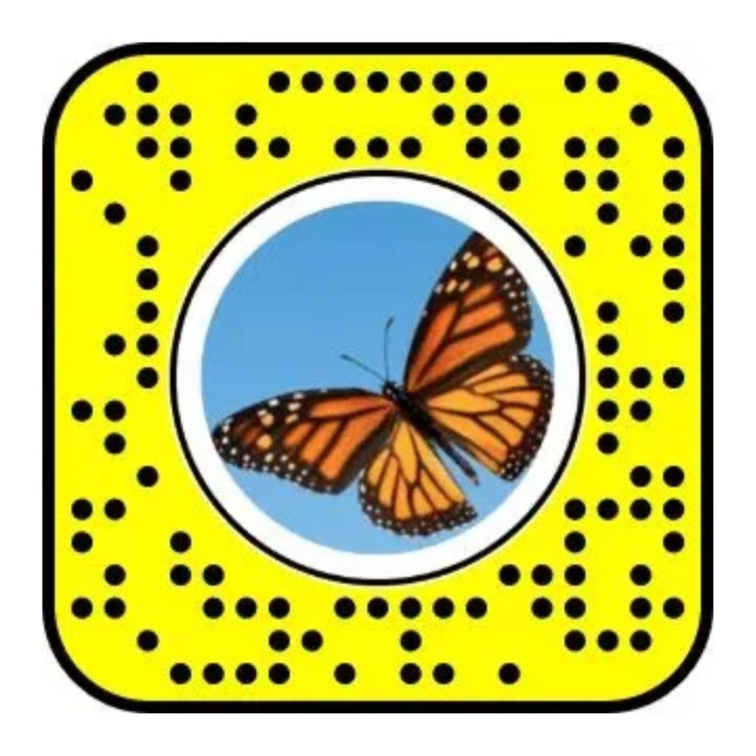 Unlock Butterfly Lens On Snapchat