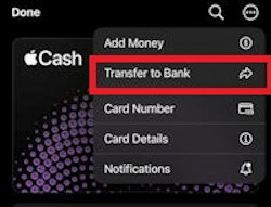 apple cash transfer to bank