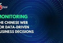 Monitoring the Chinese Web for Data-Driven Business Decisions